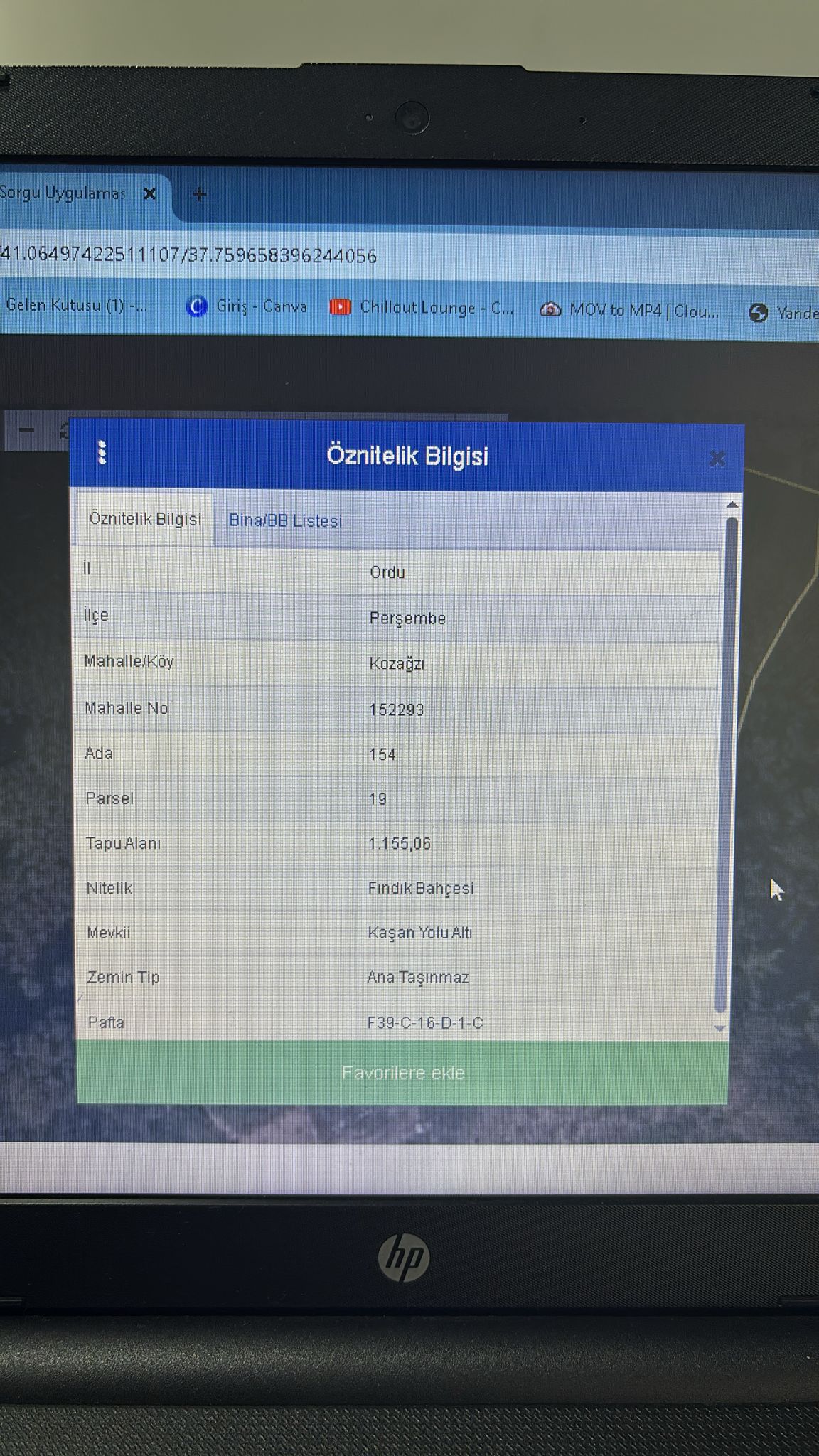 PERŞEMBE KOZAĞZI ARSA 2